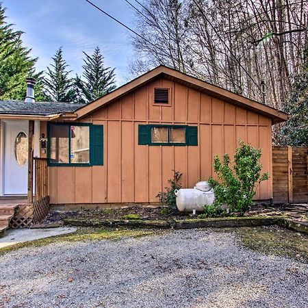 개틀린버그 Couples Cabin Great Smoky Arts And Crafts Community 빌라 외부 사진